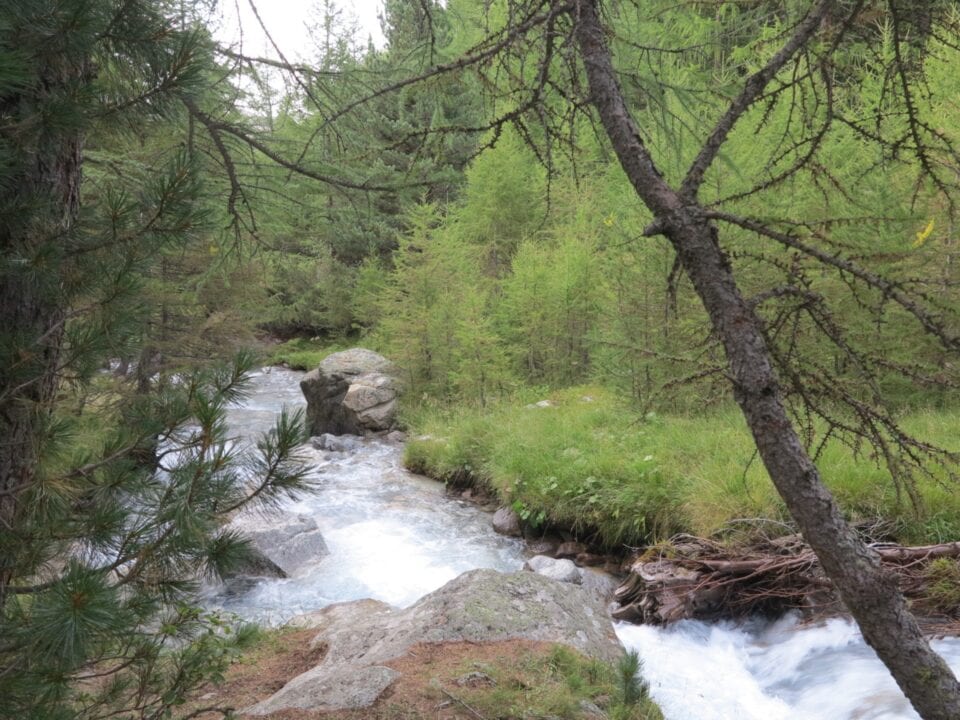Livigno sondrio estate outdoor 7